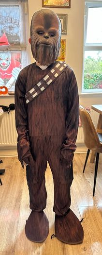 Chewbacca fancy dress costume