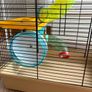 Hamster Cage Image 3