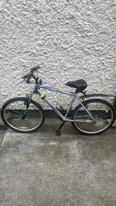 Mens Raleigh Mountain Bike