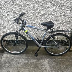 Mens Raleigh Mountain Bike