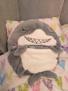 kids sleeping bag