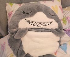 kids sleeping bag