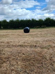 Sillage bales