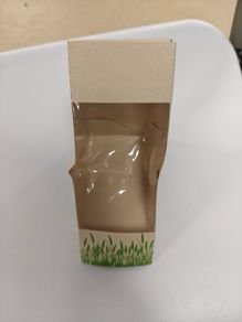 Sandwich Boxes