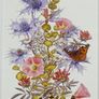 Print of a botanical watercolour painting of West Cork beach flowers Image 3