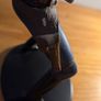Han solo statue Image 3
