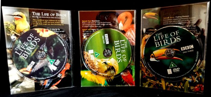 David Attenborough: The Life Of Birds - The Complete Series DVD (2012)