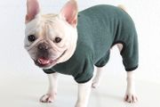 Dog Clothes, Dog Pajamas Soft Four-Legged Jumpsuit French Bulldog Clothes Dog Onesies for Puppy Small Medium Dogs (Blackish green,