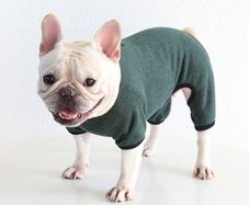 Dog Clothes, Dog Pajamas Soft Four-Legged Jumpsuit French Bulldog Clothes Dog Onesies for Puppy Small Medium Dogs (Blackish green,