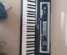 yamaha ypt210