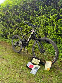 S Works Enduro