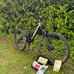 S Works Enduro