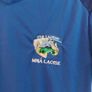 laois gaa jersey Image 2