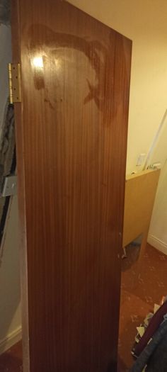 Narrow Door with Full length Mirror