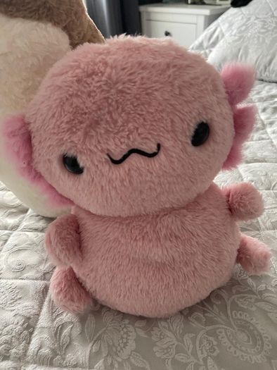 Two large plushies, axolotl and seal