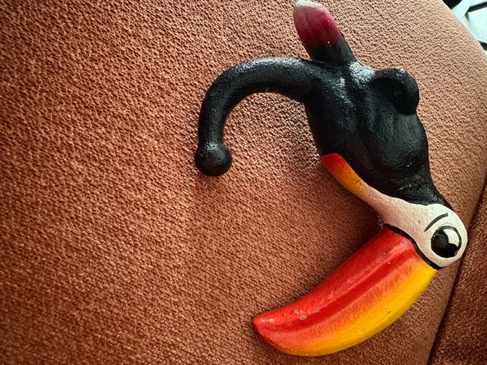 Cast Iron Toucan Coat Hooks