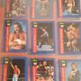 WWF 1991 Classic Trading Cards Image 2