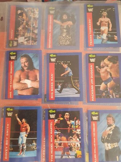 WWF 1991 Classic Trading Cards