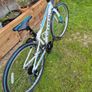 Bike Carrera 13" Image 3