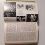 The New Illustrated Gardening Encyclopedia edited by Richard Sudell 1966 Edition Image 2
