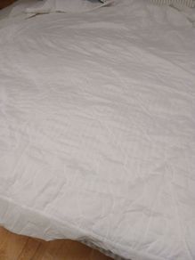 Mattress Protector