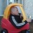 paul.mulvany.9