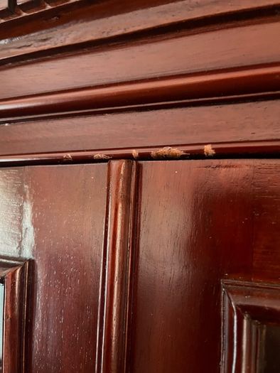 Beautiful Mahogany Glass Cabinet