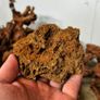 Maple Leaf Rock Image 2