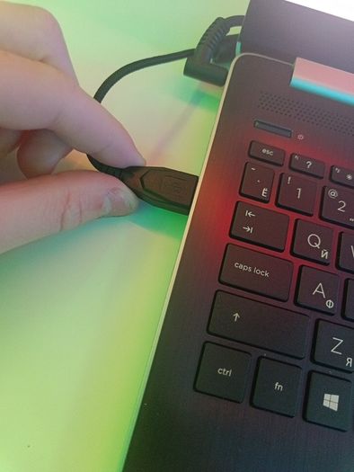 Mouse