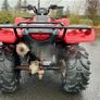 quad Image 2