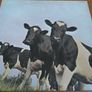 Pink Floyd - Atom Heart Mother - EMI Rec.1C07204550 - LP Germany 1970, VG+ Image 2