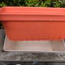 self watering Image 5