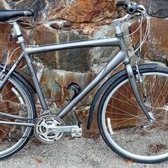 Giant Bicycle