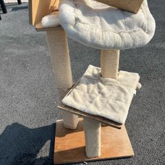 cat tree