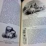 An illustrated history of Ireland from AD 400 to 1800 by Mary Frances Cusack Image 7