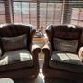 Chesterfield couch & 2 single chairs in brown leather and sage green cushions. Perfect condition,  non smokers, no house pets.  Couch Width 7ft, Depth 4ft. Chairs Width 3ft2ins, Depth 3ft Image 2