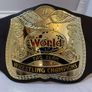 wwe WWF Jakks specific World Tag Team title Kids Foam Belt Image 2