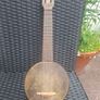 Antique 1920's Banjolele Image 2
