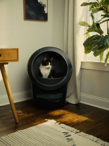 Litter-Robot 4