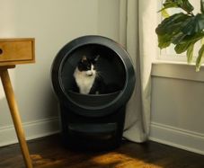 Litter-Robot 4
