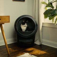 Litter-Robot 4