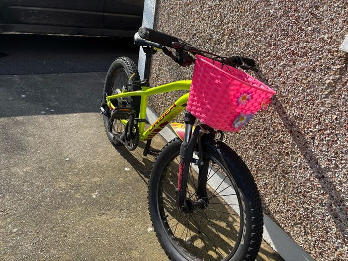 Orbea mountain bike