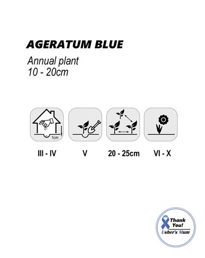 (A) Ageratum Blue Seeds 0,5g (185547)