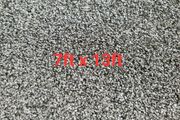carpet 7ft x 13ft