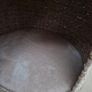 cats scratching pod Image 5