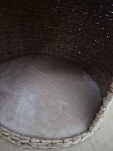 cats scratching pod