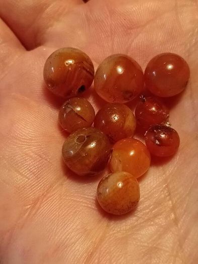 25 1900BC Carnelian Ancient Egypt Beads(With COA)