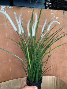 IKEA artificial plants