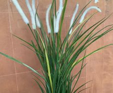 IKEA artificial plants