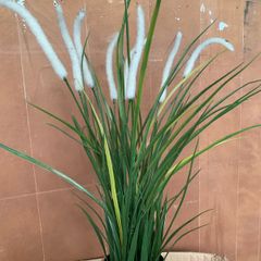 IKEA artificial plants